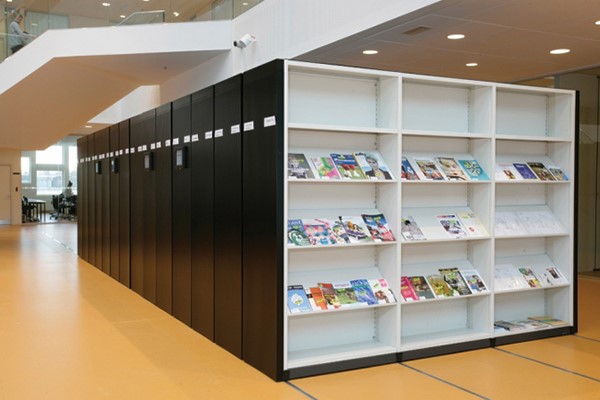 کتابخانه ریلی